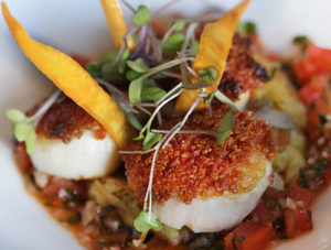 Day boat scallops at Cafe Lucia in Healdsburg ©heather irwin