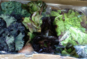 A Crop Mobbed box