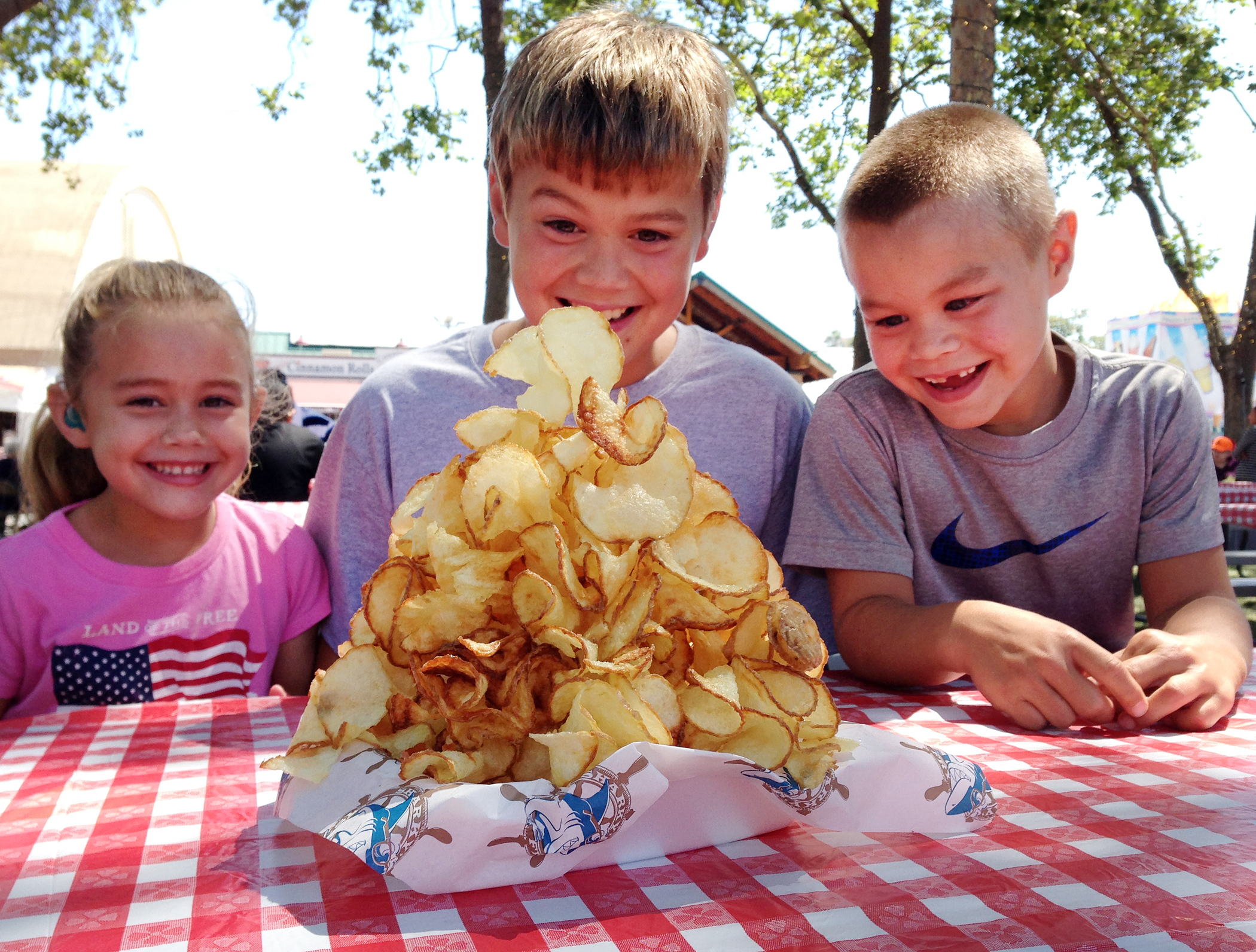 Sonoma County Fair 2013 food