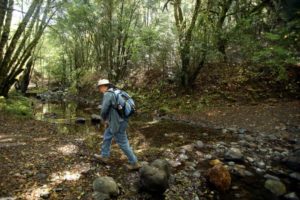 Bill Tonkin walks along Santa Rosa Creek in Hood Mountain Regional Park, near Santa Rosa on Tuesday, October 1, 2013. (Christopher Chung/ The Press Democrat)