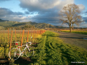 Courtesy of Calistoga Visitors Bureau