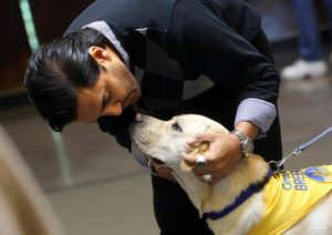 Rischi Paul Sharma of Laguna Nigel says hello to Orent II, a Canine Companion service dog, at the Pinot for Paws event at Jordan Winery on Saturday, November 30, 2013. (photo by John Burgess/The Press Democrat)
