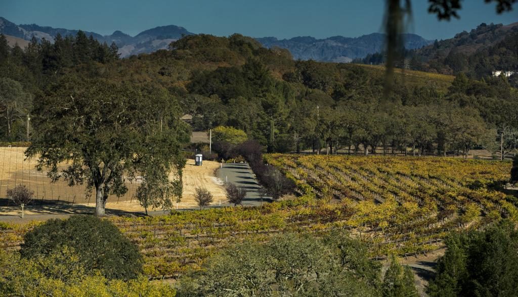Warnecke Ranch near Windsor. (Chris Hardy / Sonoma Magazine)