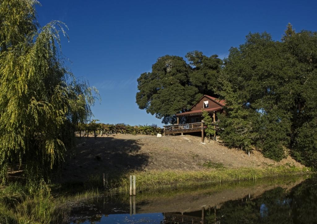 Warnecke Ranch near Windsor. (photo by Chris Hardy)