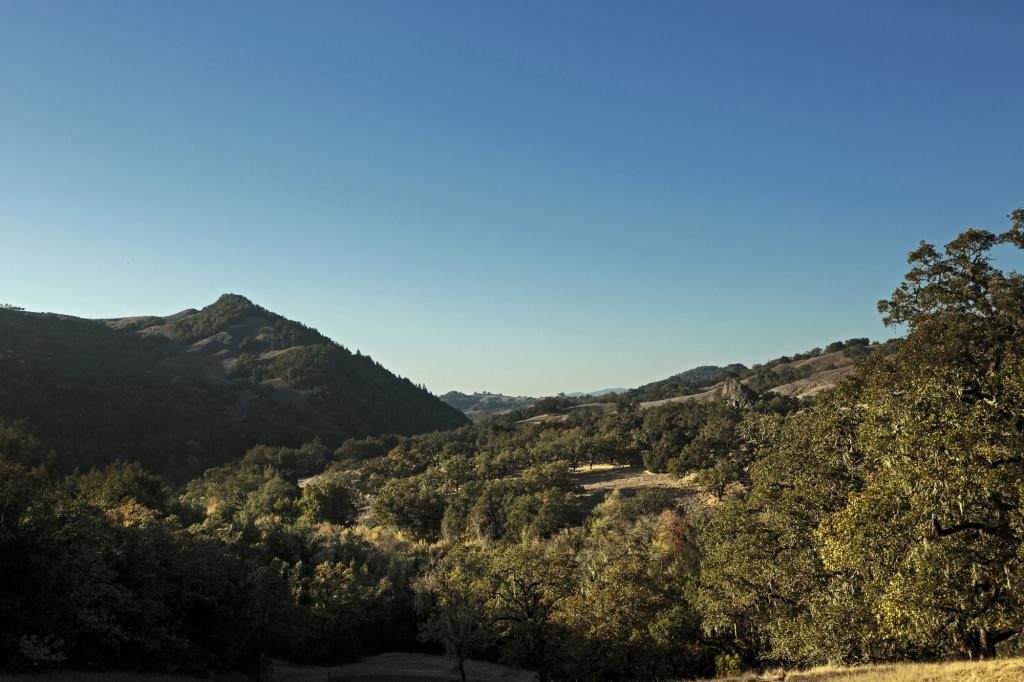 Warnecke Ranch near Windsor. (photo by Chris Hardy)