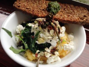 Polenta bowl with arugula, greens, feta cheese and a poached egg at Fork Cafe. (Photo Heather Irwin)