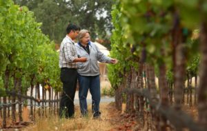 Bob Cabral, director of winemaking at Williams Selyem, right, checks the progress of grapes with winemaker Jeff Mangahas in a vineyard near Healdsburg. (photo by Christopher Chung)