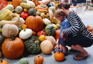 Fletcher Pope, 2, of Petaluma with his mom at the National Heirloom Expo.
