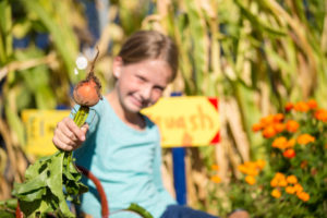 October 2,2014. Denver C0. Asbury Elementary. Chipotle and Slow Food movement and their involvement in Asbury Elementary's Garden. Students learn agriculture, food and retail thru their garden and farmer's market.