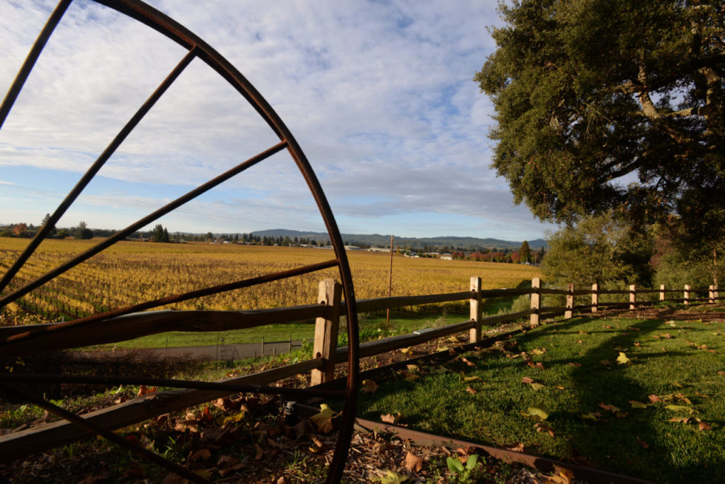The view of Clear View Vineyards from Healdsburg Country Gardens located in Healdsburg. November 23, 2014. (Photo: Erik Castro/for Sonoma Magazine)