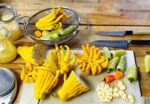 Buddah's Hand preparations at Cultured Pickle in Berkeley.