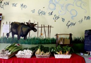 The farm store at Tara Firma Farms in Petaluma beckons visitors to try fresh produce. (photo by Beth Schlanker)
