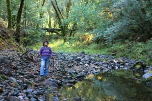 Janet Tonkin walks along Santa Rosa Creek in Hood Mountain Regional Park, near Santa Rosa. (Photo by Christopher Chung)