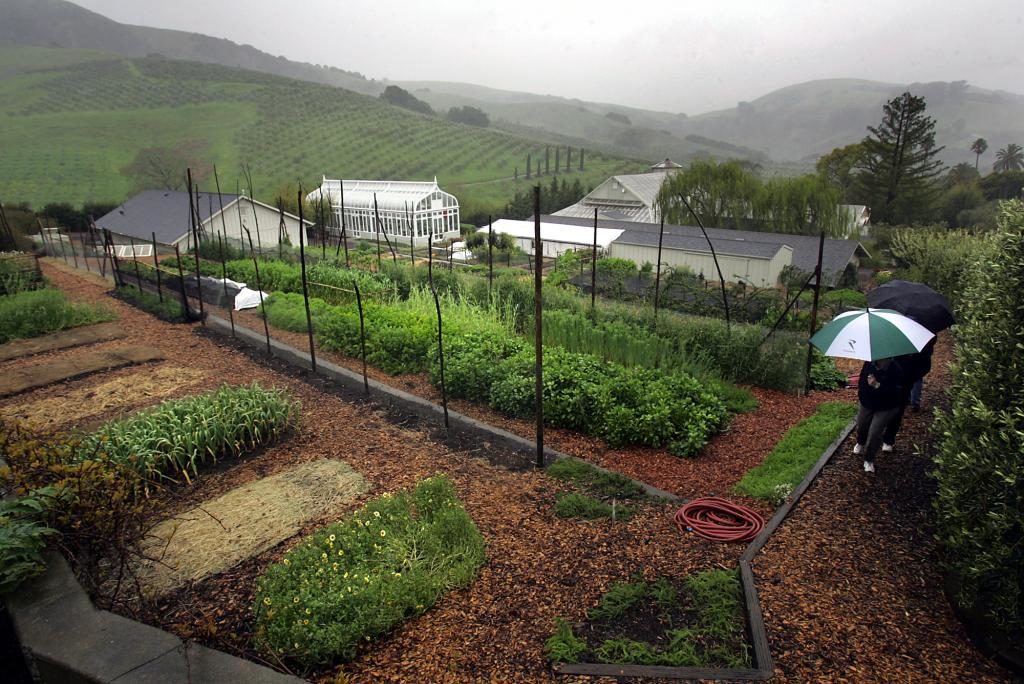 In fair weather or rain, visitors can tour the McEvoy gardens by appointment, enjoying the lush coastal hills west of Petaluma. (John Burgess/The Press Democrat)