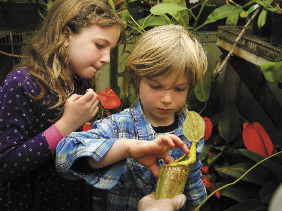 California Carnivores. (photo by Conner Jay)