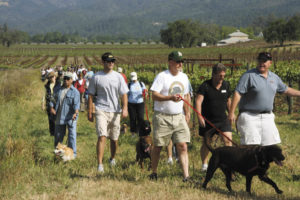 Jeff Kunde, far right, leads a hike for dogs and their humans at his Kunde Family Winery in Kenwood. (Courtesy Kunde Family Winery)