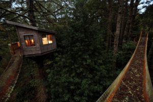 Salmon Creek Ranch, a working ranch with a treehouse that will soon be rented out. Rope bridges leading to the treehouse. (Chris Hardy)