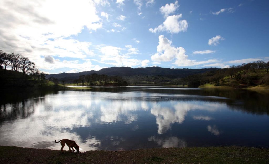 Suttonfield Lake at Sonoma Valley Regional Park on Sonoma Highway, near Glen Ellen. This is a beautiful spot to stop after a stroll through the park. Also, this park is dog friendly, so your furry friend can join the picnic, as well. (Crista Jeremiason / The Press Democrat)