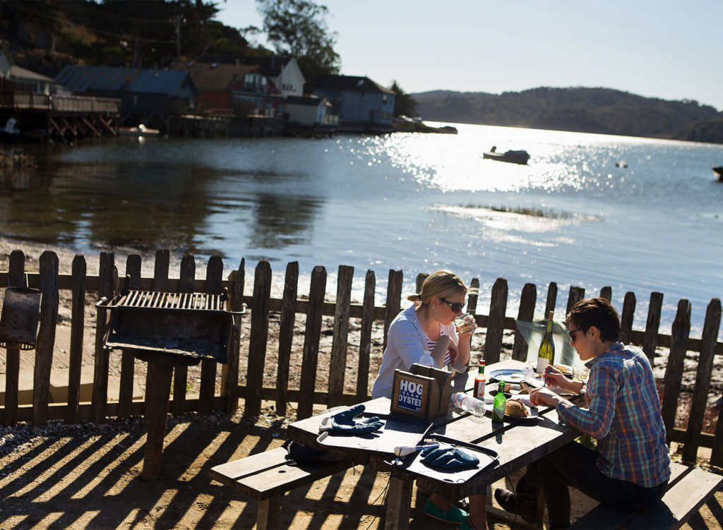 Hog Island Oyster Company (Photo by Charlie Gesell)