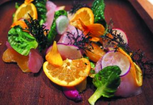 Pacific yellowtail with tatsol, ginger, citrus and togarishi at SHED Cafe' in Healdsburg (photo by Heather Irwin)