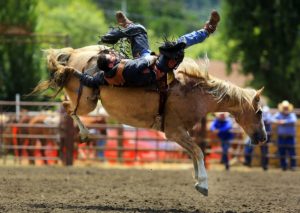 Blow off some steam by watching the Russian River Rodeo in the historic hamlet of Duncans Mills. (John Burgess / The Press Democrat)