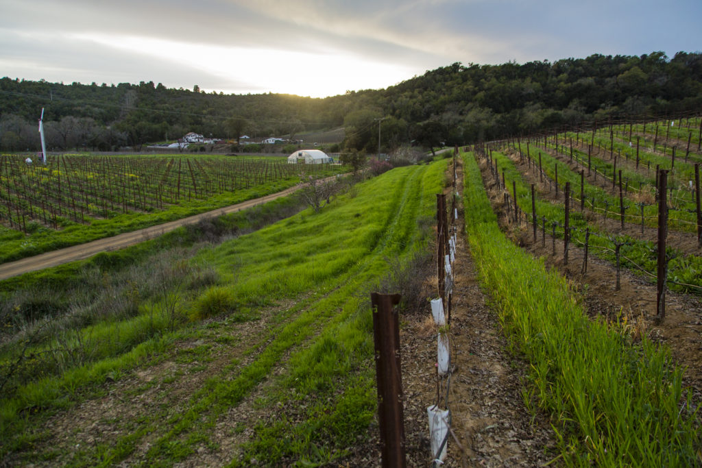 Kyle and Katina Connaughton of Single Thread Farms Restaurant in Healdsburg at their farm. Photo: Jason Jaacks