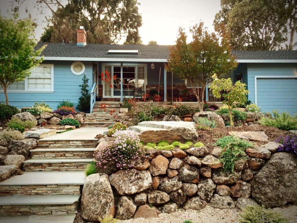 drought landscaping ideas