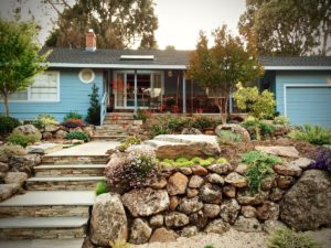 A 1942 suburban home updated with a drought resistant front yard. (Image courtesy of Dante Silliman)