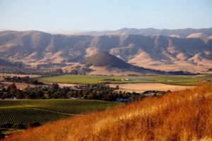 The San Luis Obispo wine region has a Mediterranean climate similar to regions of France that produce storied wines. (SLO Wine Country)