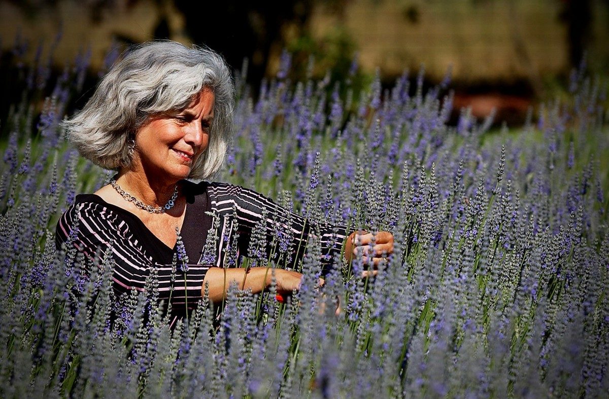 Jo Ann Wallenstein in the lavender fields at her Petaluma farm. Her husband, Rick, has bees that pollinate the flowers and make lavender-flavored honey. (Jeff Kan Lee / The Press Democrat)