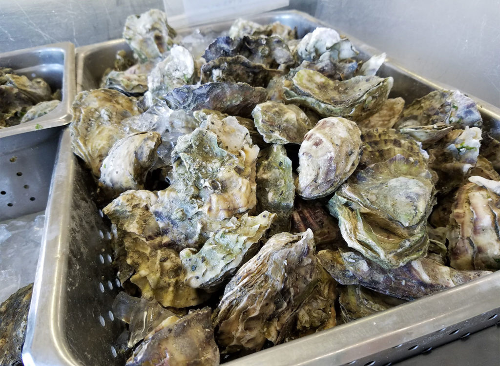 Bags of Oysters at Santa Rosa Seafood. Heather Irwin/PD