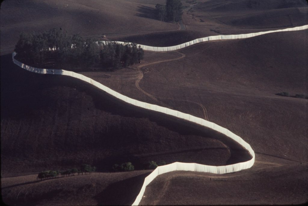 Making its way toward the ocean, the Running Fence wraps around a eucalyptus grove on a ridge near Valley Ford. Color photo by John LeBaron 