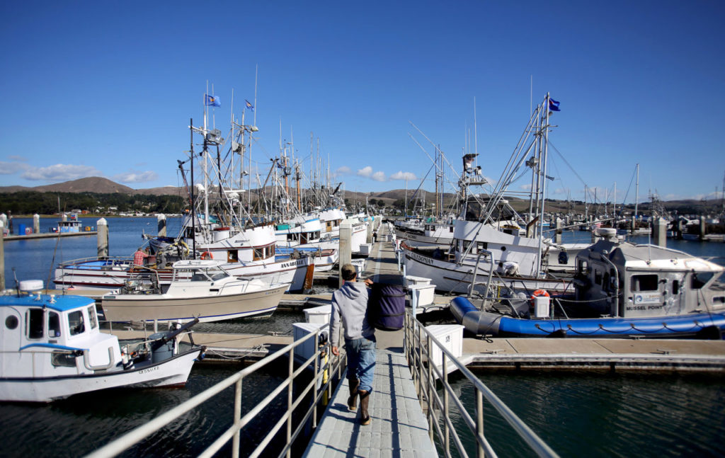 11/12/2012: B1: PC: Fishermen and their crews are getting their boats ready for crab season to start at Spud Point Marina in Bodega Bay, Saturday, November 10, 2012. (Crista Jeremiason / The Press Democrat)