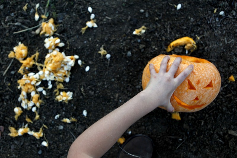 Lyla Runkel, 7, carves a pumpkin during the Pumpkins on Pikes event at Tara Firma Farms in Petaluma, California on Saturday, October 22, 2011. (BETH SCHLANKER/ The Press Democrat) Beth Schlanker