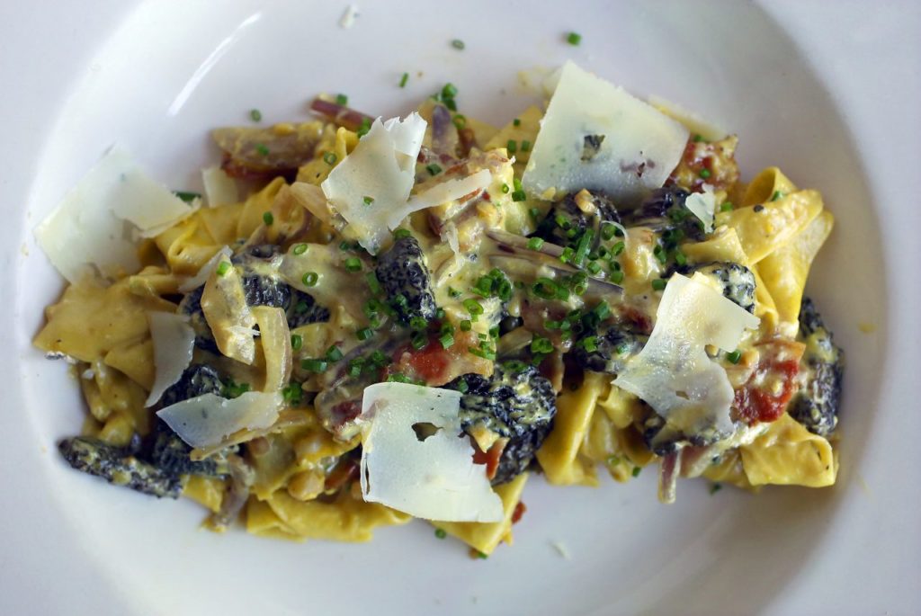 Backyard Forestville