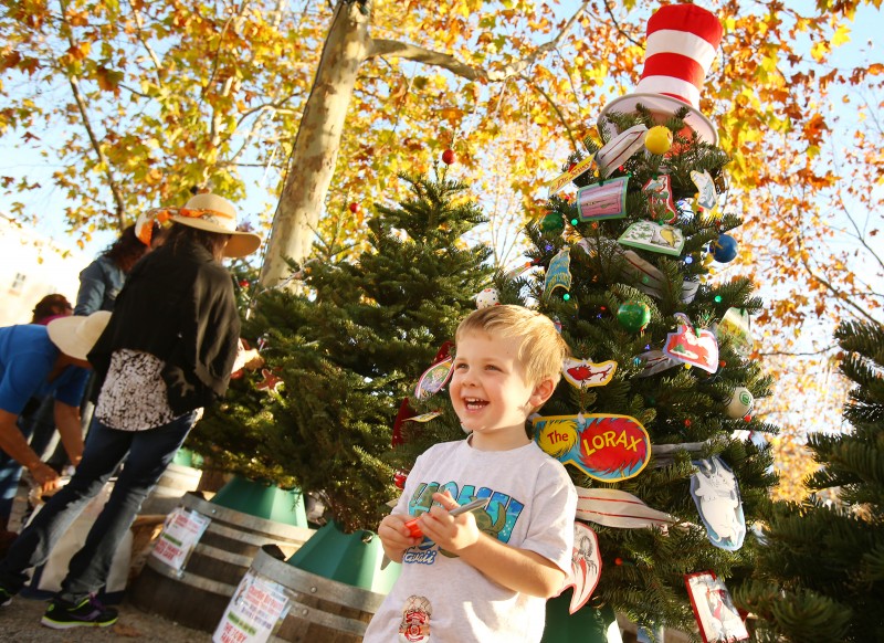 Patrick James, 3, stands with his Dr. Seuss themed tree at the Charlie Brown Christmas Tree Grove in Windsor on Sunday, December 1, 2013. (Conner Jay/The Press Democrat) Charlie Brown Christmas Tree Grove Conner Jay Publication Date: December 2, 2013