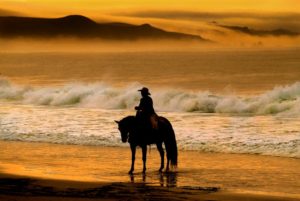 Take a sunset horseback ride on Doran Beach in Bodega Bay. (John Burgess)