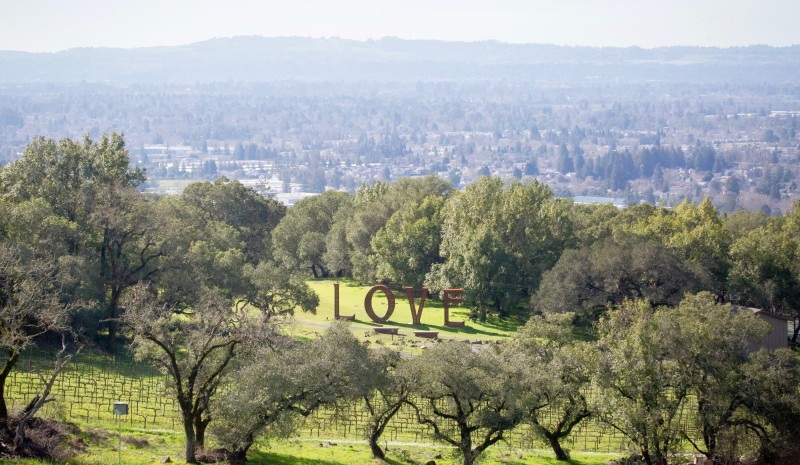 The 4 Best Things to Do in Santa Rosa According to ABC News