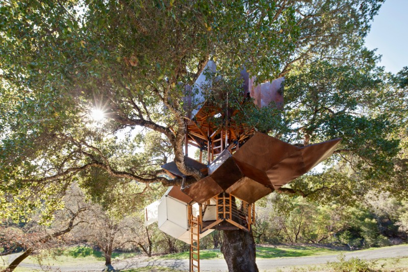 Calling All Treehouse Lovers: There’s a New Way to Get High in Sonoma County