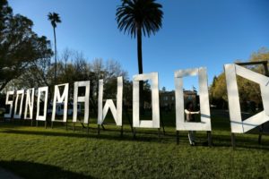 Film festival staffer Alejandra Hernandez of San Francisco gives a thumbs up after a friend snapped her photo standing in the Sonomawood sign at the Sonoma International Film Festival in Sonoma, California on Thursday, March 31, 2016. (Alvin Jornada