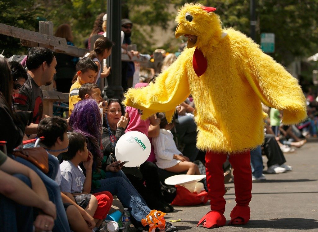 APRIL 29: Butter & Egg Days Parade & Festival. The 36th annual parade steps off at noon in downtown Petaluma, as the city celebrates its rich agricultural heritage. The festival, 11 a.m. to 5 p.m., offers food, arts and crafts vendors, informational booths and more. Highlights include the Cutest Little Chick Contest for kids and the Cow Chip Throwing Contest. Free. 707-762-9348, petalumadowntown.com. (Alvin Jornada)