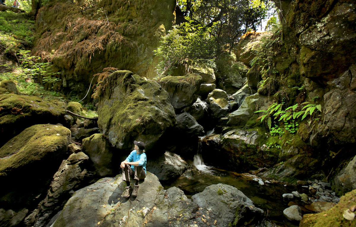 Wendy Eliot, conservation director for Sonoma Land Trust, takes in the peaceful surroundings of Santa Rosa Creek near it's headwaters in the Mayacamas mountains near Santa Rosa, Thursday June 2, 2016. The addition of the162-acre Land Trust acquisition will join Hood Mountain Regional Park and Sugarloaf Ridge State Park. (Kent Porter / Press Democrat) 2016