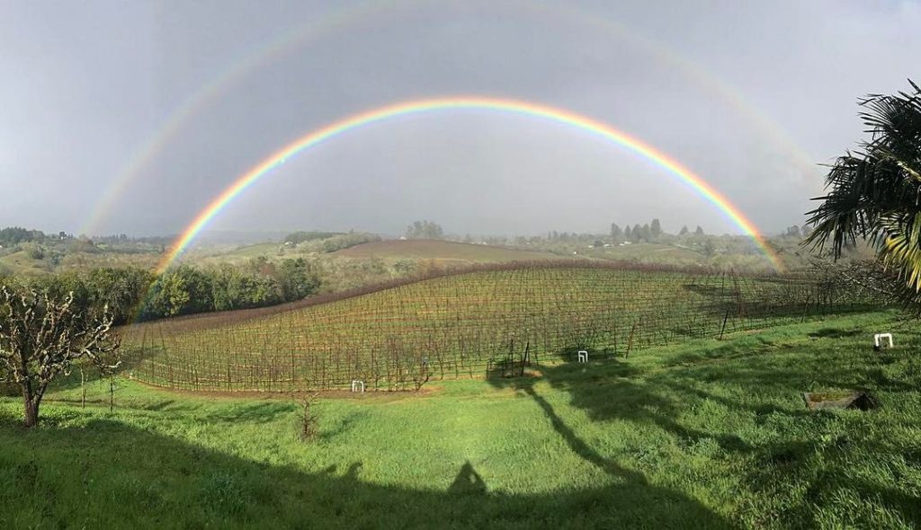 Double rainbow at Iron Horse Vineyards in Sebastopol, California