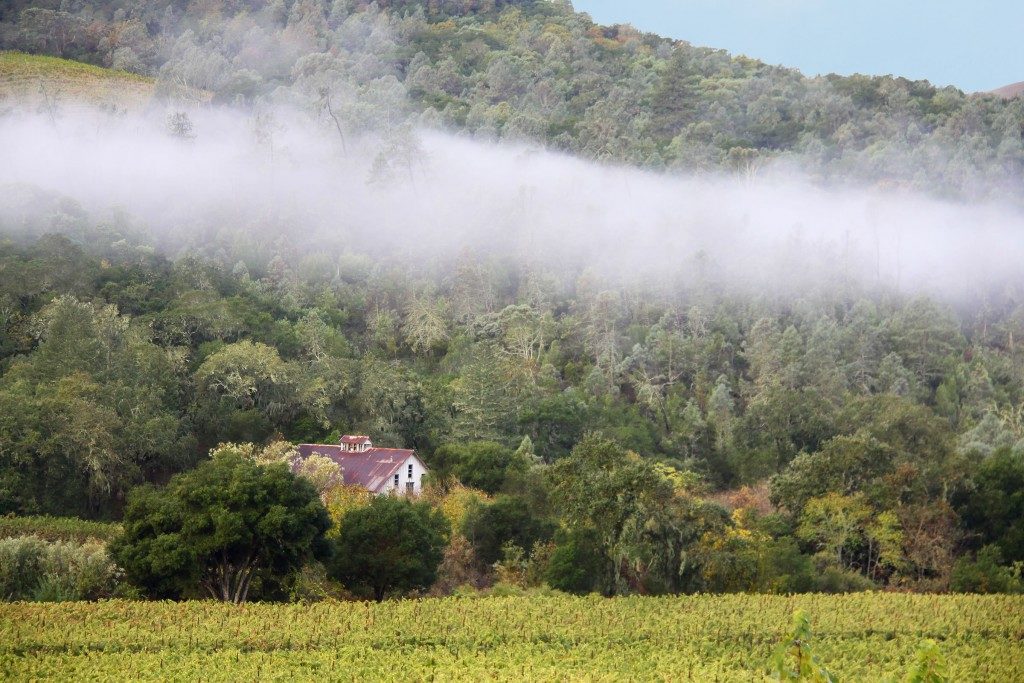 Volker Eisele Family Estate produces organic estate wines in Napa Valley (Photo courtesy of Volker Eisele Family Estate