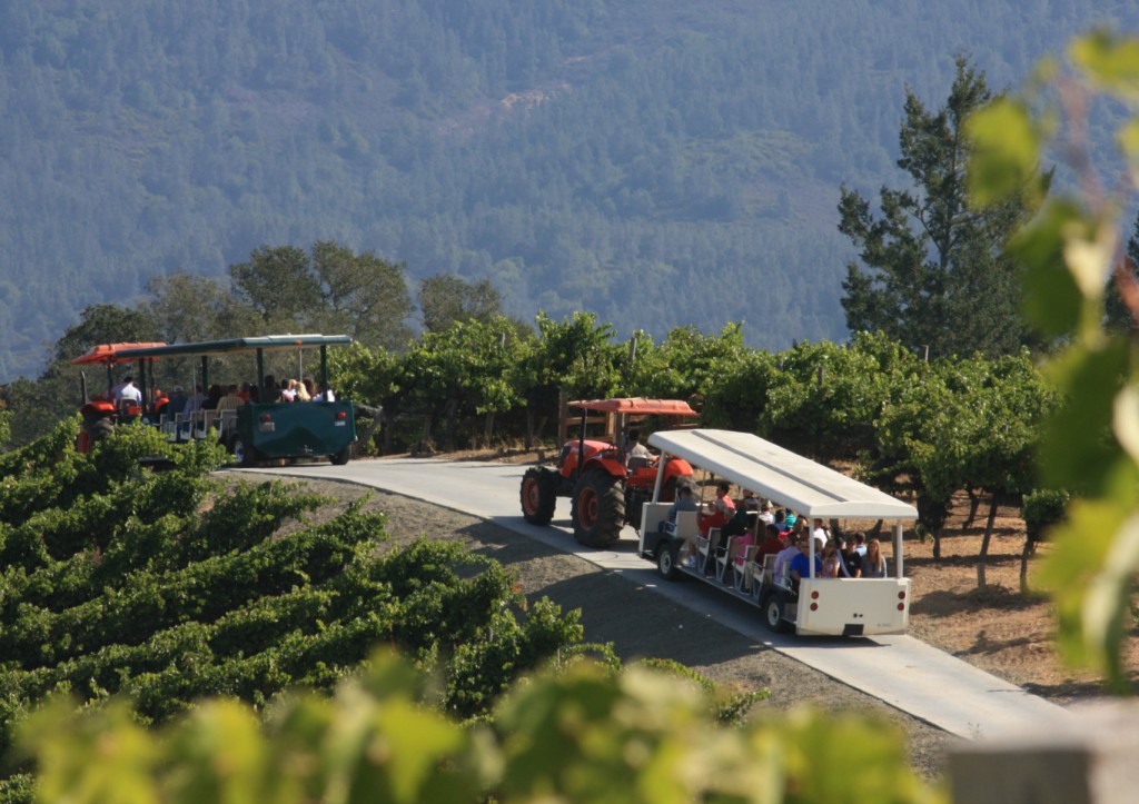 Biodynamic vineyard tram tour at Benziger Family Winery in Glen Ellen (Photo courtesy of Benziger Family Winery)