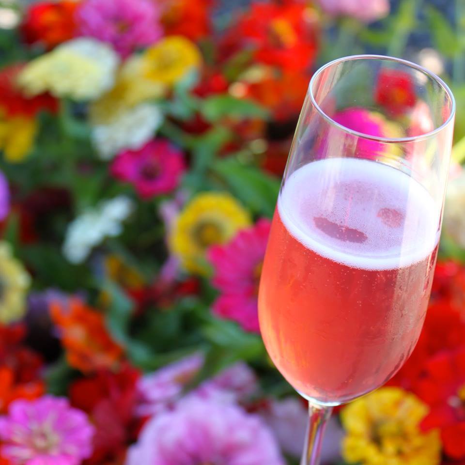 A glass of rosé sparkling wine from Iron Horse Vineyards
