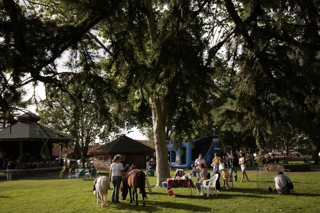 Cotati Certified Farmers Market, Thursday afternoons from 4:30 to 7:30 p.m. from June 5 through Aug. 28 at La Plaza Park at West Sierra Ave. and Old Redwood Highway. communityfarmersmarkets.com. (Photo by Mark Aronoff)
