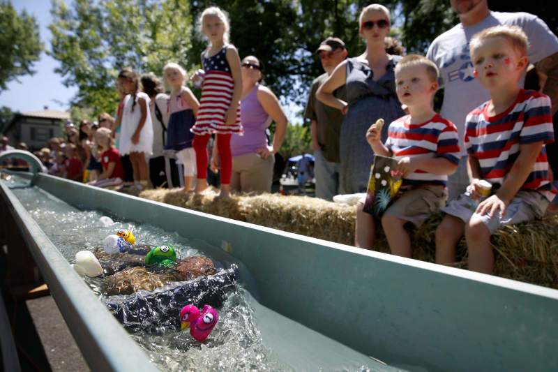 Duck races at the Healdsburg's 4th of July