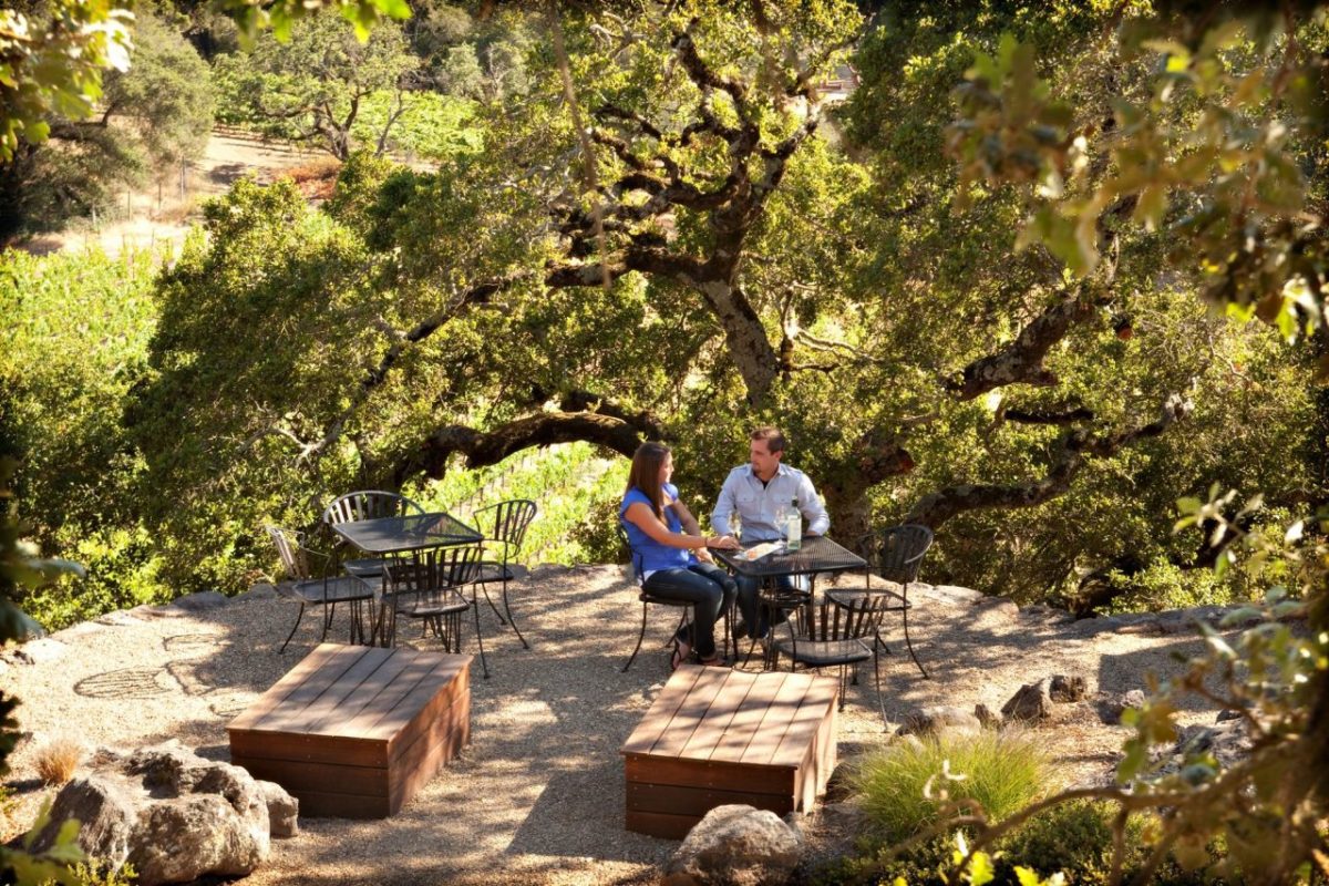 Wine tasting at Paradise Ridge Winery, Santa Rosa, California