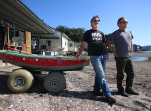  Hog Island Oyster Co. partners Terry Sawyer, left, and John Finger have seen their Marshall-based business near Tomales Bay grow from a $500 investment by the Finger family into an enterprise that sells about $10 million in bivalves annually and employs about 120 people.